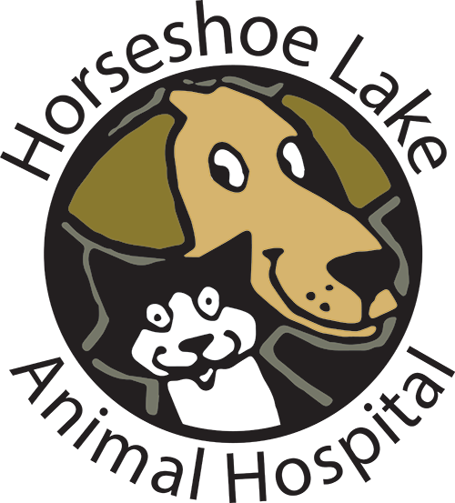 Horseshoe pet hot sale clinic