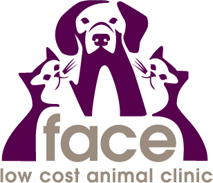 Low price fashion vet clinic