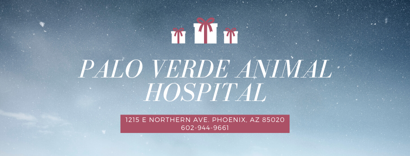 Paloverde Animal Hospital – Phoenix, AZ