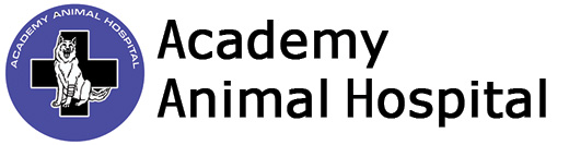 Academy Animal Hospital Baltimore Md