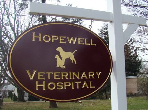 Hopewell Veterinary Hospital Jenkintown Pa