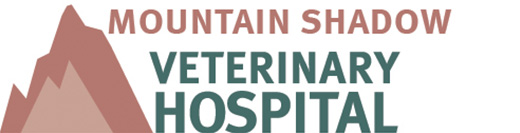 Mountain shadow animal hot sale hospital