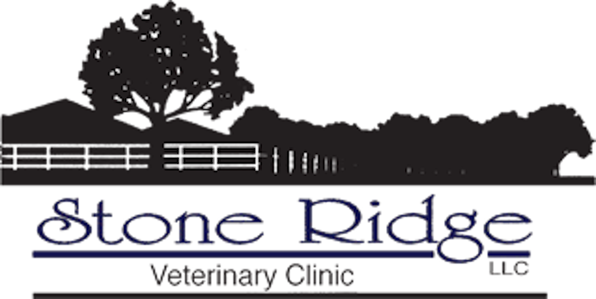 Stoneridge 2024 veterinary clinic