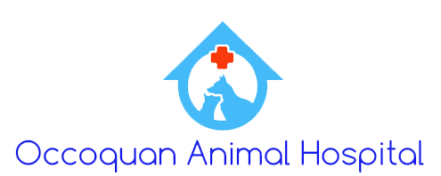 occoquan animal hospital va