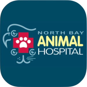north bay animal hospital tampa