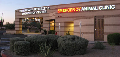 IMG_0304 • Scottsdale Veterinary Clinic (Arizona)