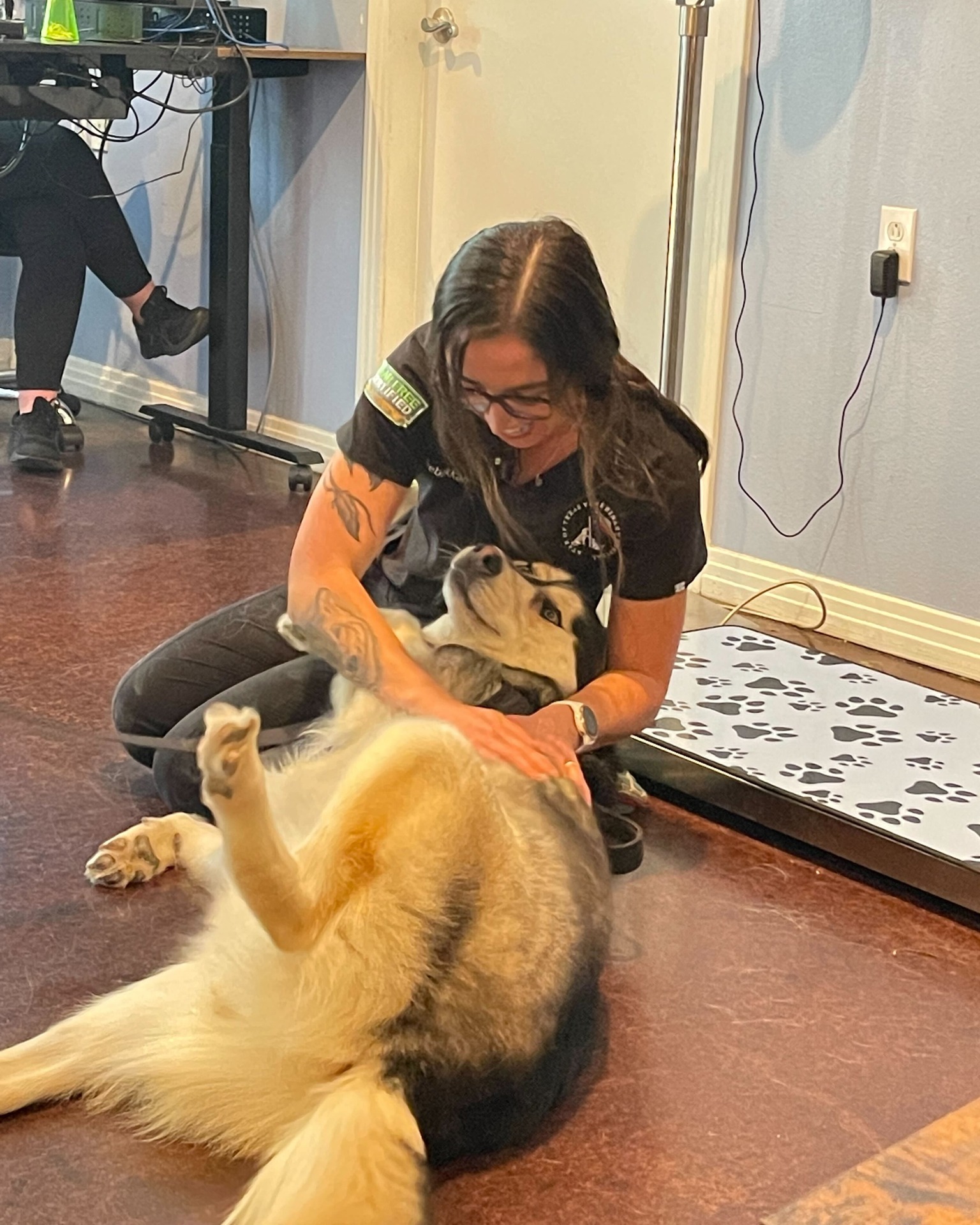 Star of Texas Veterinary Hospital Austin TX