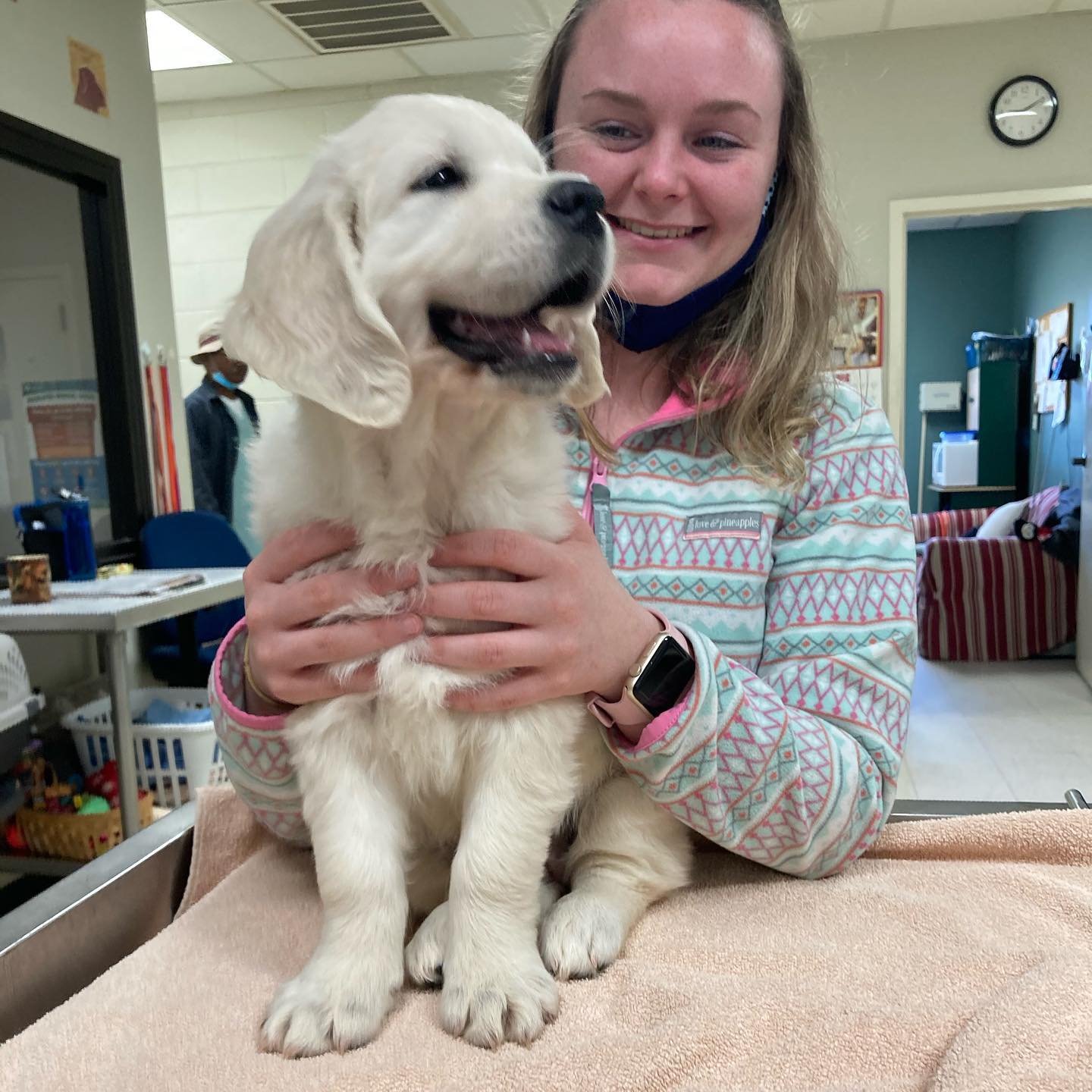 Brantley And Jordan Animal Hospital Macon Ga