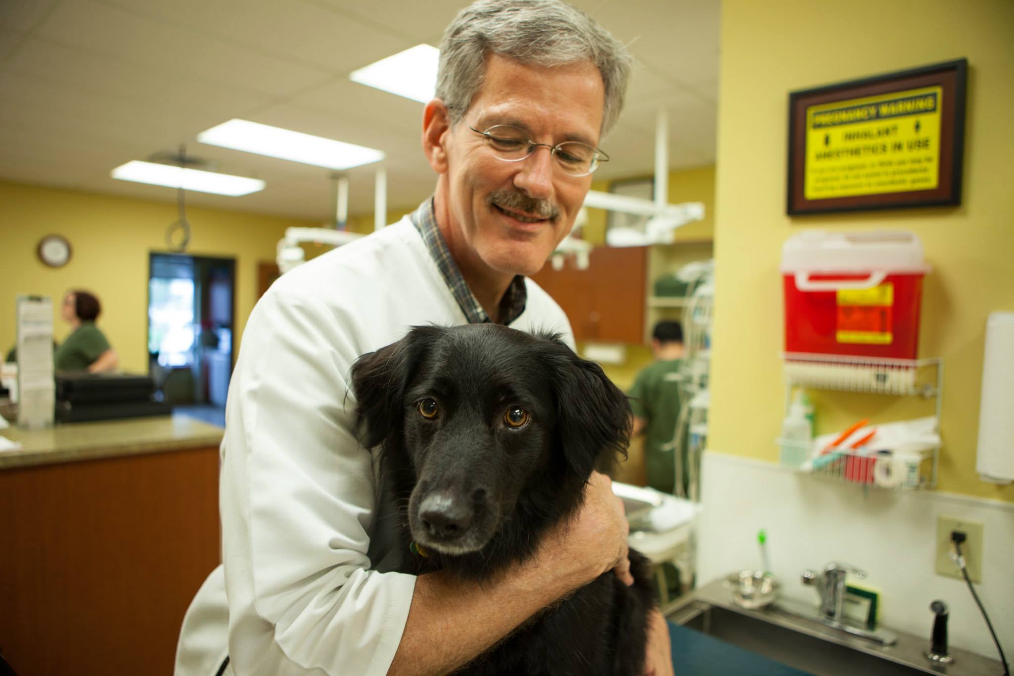 38+ Animal healthcare clinic of southlake ideas