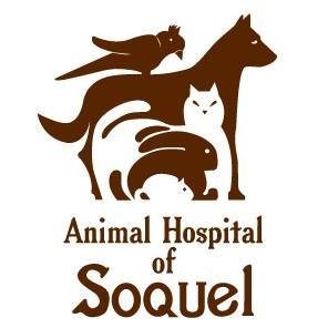 Animal Hospital of Soquel Santa Cruz CA