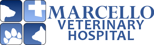 Marcello Veterinary Hospital - Mathews Clinic – Raceland, LA