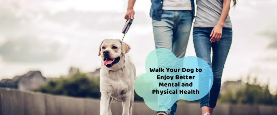 what are the benefits of walking your dog