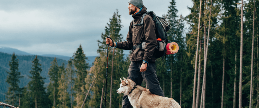 How to Hike With Your Hound: Tricks &amp; Tips for Hiking With Dogs