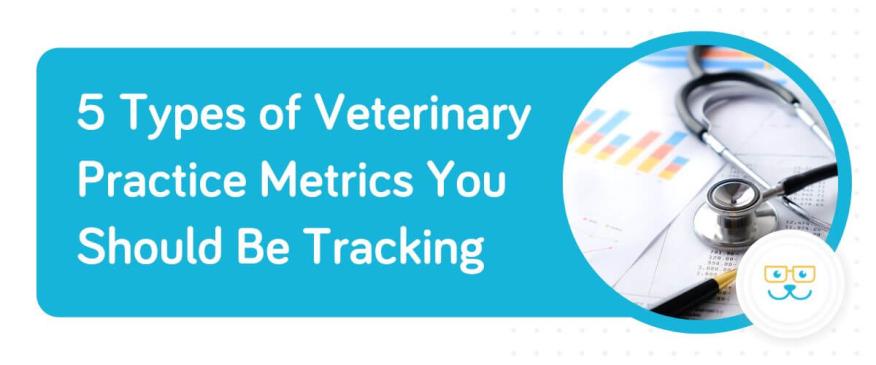 




5 Types of Veterinary Practice Metrics You Should Be Tracking



