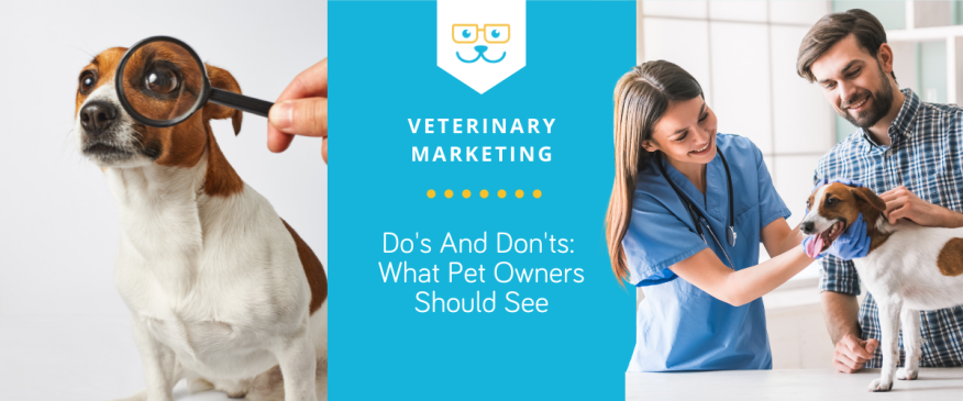 What Pet Owners Should See On Your Social Media When Considering Your Vet Practice