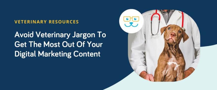 Avoid Veterinary Jargon To Get The Most Out Of Your Digital Marketing Content