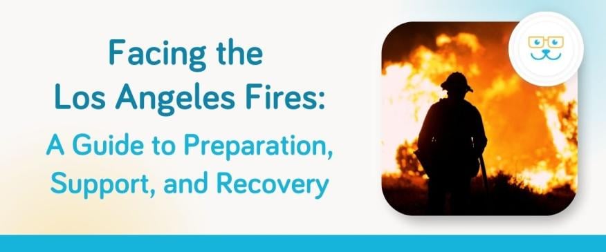 Facing the Los Angeles Fires: A Guide to Preparation, Support, and Recovery