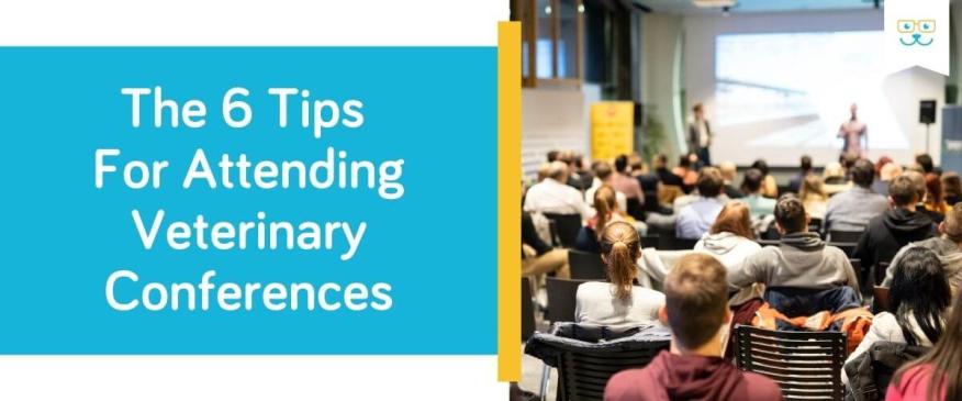 6 Tips For Attending Veterinary Conferences