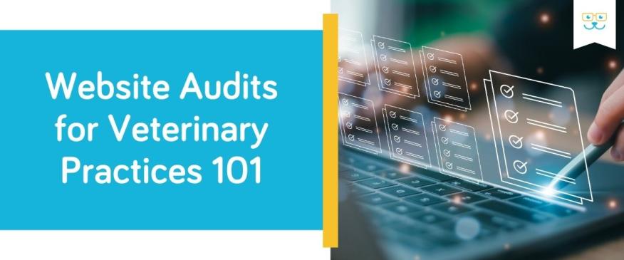 Website Audits for Veterinary Practices 101