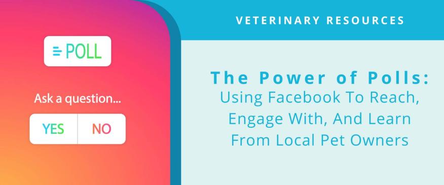 The Power Of Polls: Using Facebook To Reach, Engage With, And Learn From Local Pet Owners