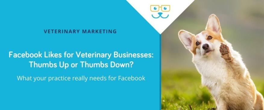 Facebook Likes for Veterinary Businesses: Thumbs Up or Thumbs Down?