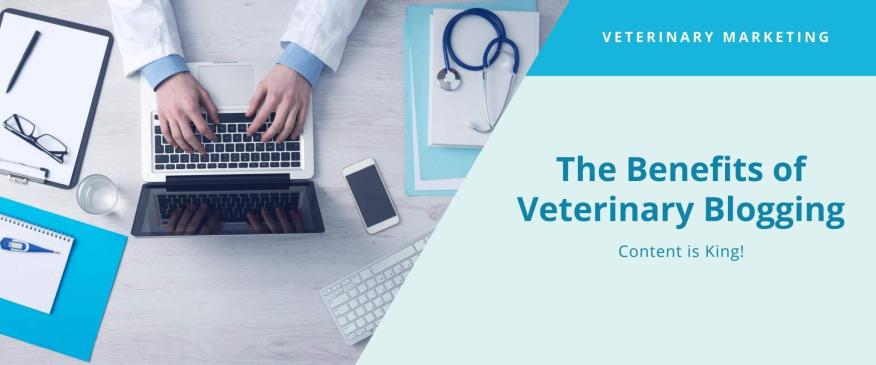 The Benefits of Veterinary Blogging