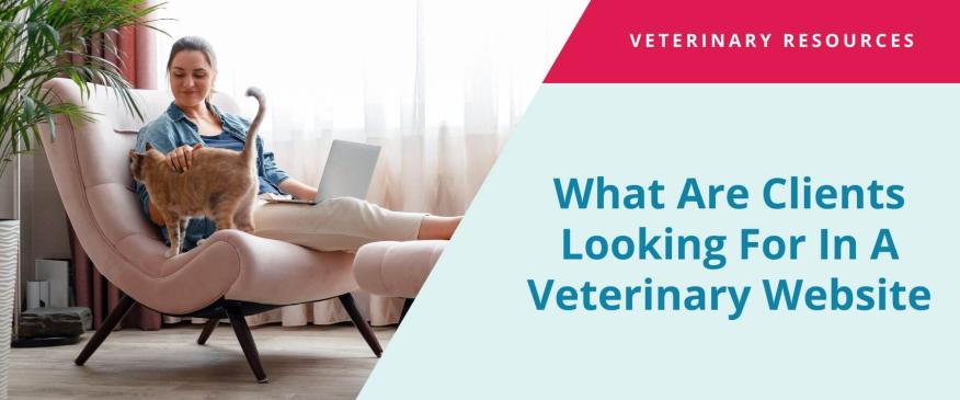 What Are All Clients Looking For In A Veterinary Website?