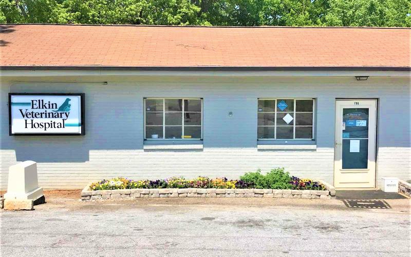 state road animal hospital elkin nc