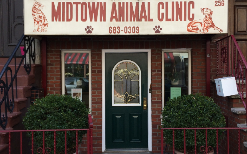 abc animal clinic and hospital