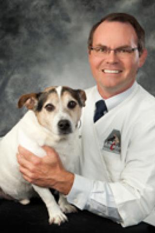 DR. STEPHEN DULLARD DVM