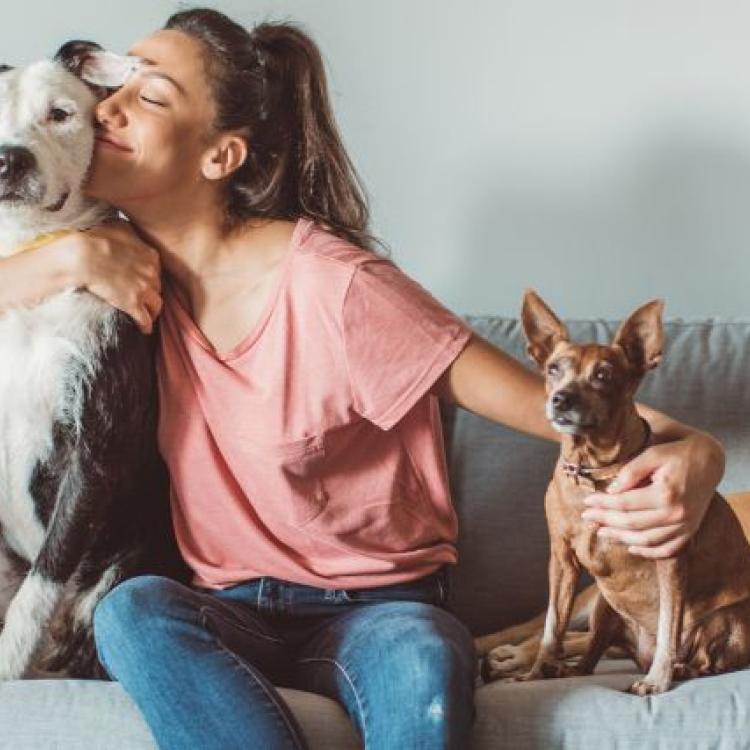 a-guide-to-finding-the-best-pet-insurance