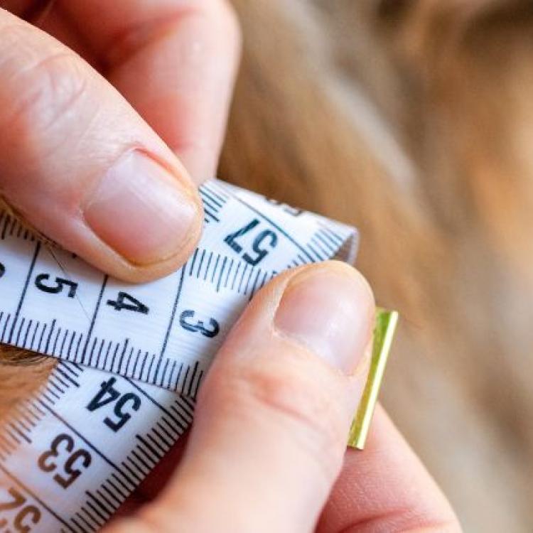 top-10-tips-to-help-your-dog-lose-weight