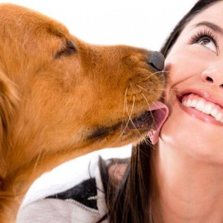 why do dogs give kisses