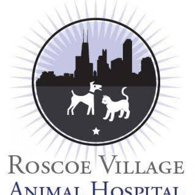 Animal hospital hot sale on clybourn