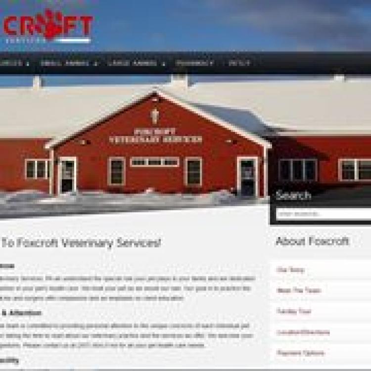 Dover sales foxcroft vet