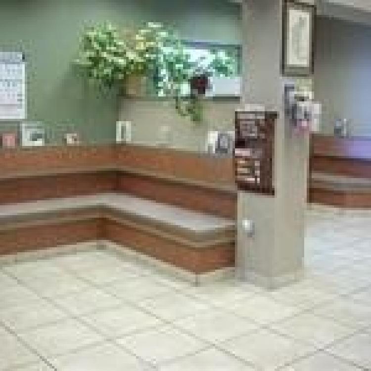 St joe best sale veterinary clinic