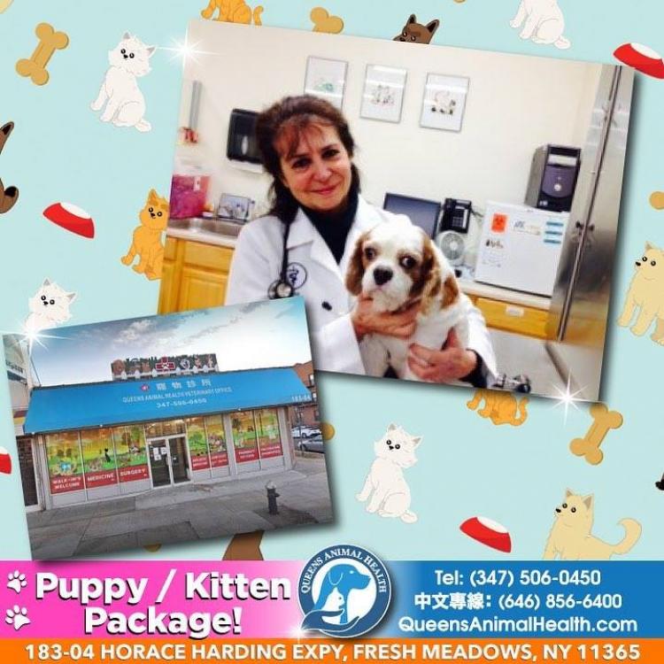 Queens Animal Health Fresh Meadows NY