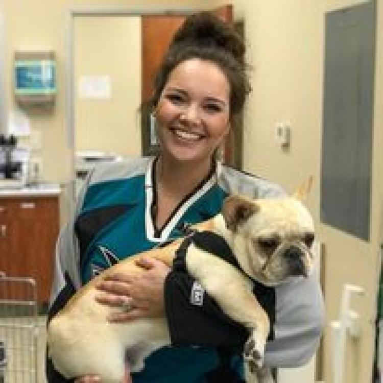 Rocklin, CA Veterinary Blog